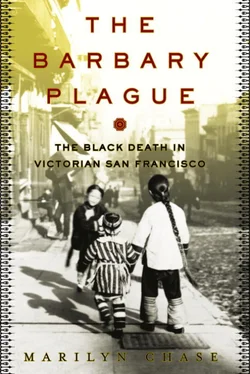 Marilyn Chase The Barbary Plague