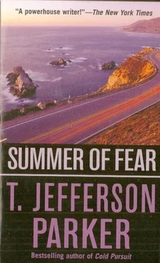 T. Parker Summer Of Fear обложка книги