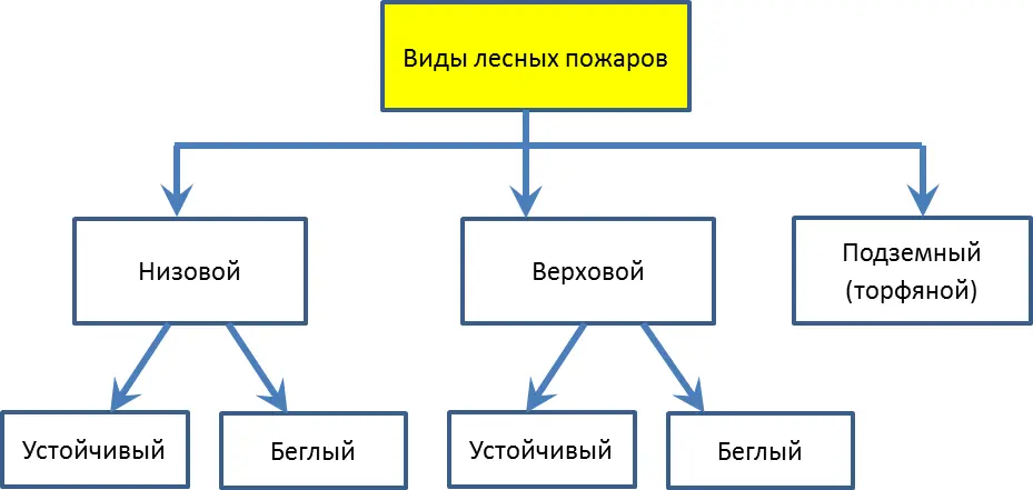 Низовые пожары подразделяются на беглые и устойчивые При низовом бегломпожаре - фото 81