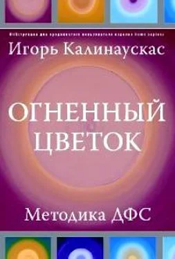 Игорь Калинаускас Огненный цветок: методика ДФС обложка книги