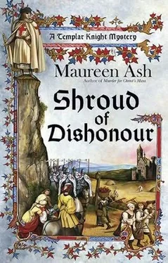 Maureen Ash Shroud of Dishonour обложка книги