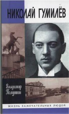 Владимир Полушин Николай Гумилев: жизнь расстрелянного поэта обложка книги