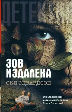 Оке Эдвардсон Зов издалека обложка книги