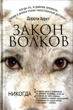 Дороти Херст Закон волков обложка книги