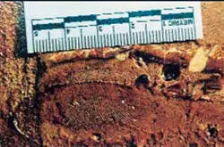 One of the controversial bloody footprints found at the crime scene While at - фото 16
