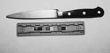 The knife that Susan claimed she used when she killed her husband A bloody - фото 40