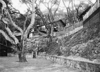 A police photo of the Polks Miner Road estate The coroners report from - фото 42