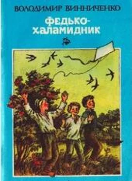 Володимир Винниченко Федько-Халамидник обложка книги