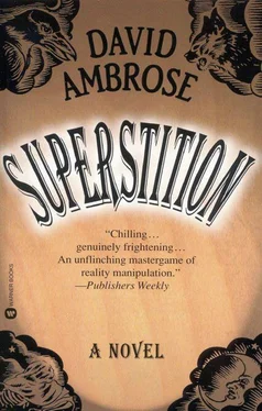 David Ambrose Superstition обложка книги