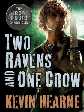 Kevin Hearne Two Ravens and One Crow обложка книги