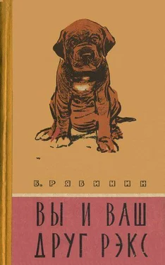 Борис Рябинин Вы и Ваш друг Рэкс обложка книги