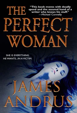 James Andrus The Perfect Woman обложка книги