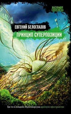 Евгений Белоглазов Принцип суперпозиции обложка книги