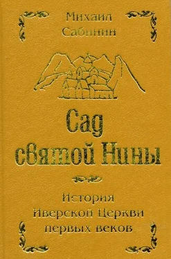 Михаил Сабинин Сад святой Нины обложка книги