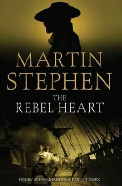 Martin Stephen The rebel heart обложка книги