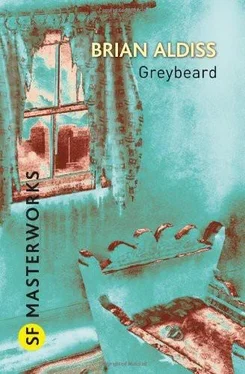 Brian Aldiss Greybeard