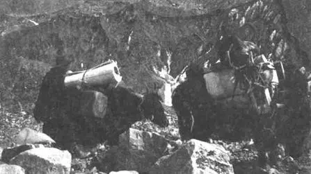Яки на леднике Восточный Ронгбук Итак мы приближаемся по моренному потоку к - фото 53