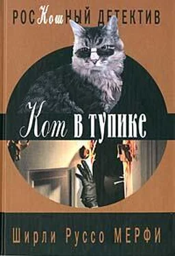 Ширли Мерфи Кот в тупике обложка книги