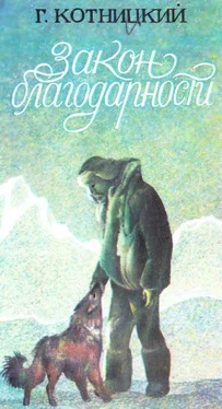 Г. Котницкий Закон благодарности обложка книги