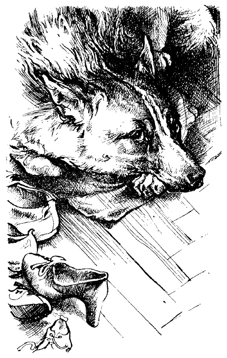 Наконец эта длинная ночь кончилась За стенкой щелкнул выключатель через - фото 4