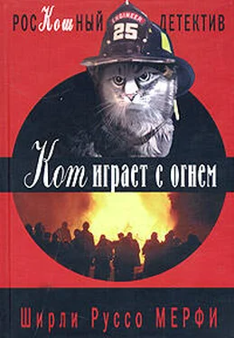 Ширли Мерфи Кот играет с огнем обложка книги