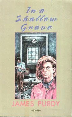 James Purdy In a Shallow Grave обложка книги