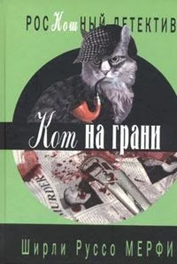 Ширли Мерфи Кот на грани обложка книги