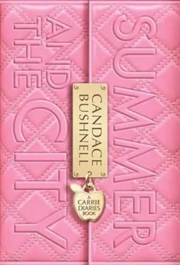 Candace Bushnell Summer and the City обложка книги