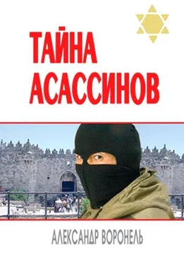 Александр Воронель Тайна асассинов обложка книги