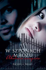 Richelle Mead - W szponach mrozu