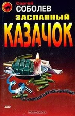 Сергей Соболев Засланный казачок обложка книги