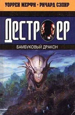 Уоррен Мерфи Бамбуковый дракон обложка книги