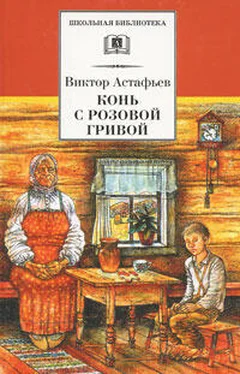 Виктор Астафьев Конь с розовой гривой обложка книги