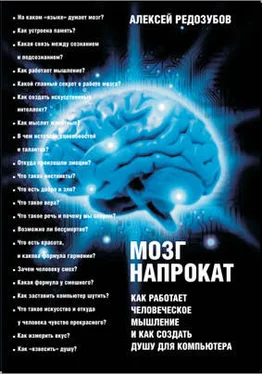 Алексей Редозубов Мозг напрокат. Как работает человеческое мышление и как создать душу для компьютера обложка книги