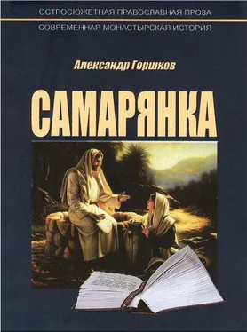 Горшков Александр Самарянка обложка книги