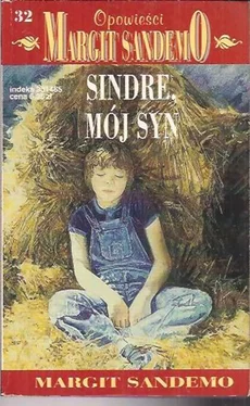 Margit Sandemo Sindre, Mój Syn обложка книги