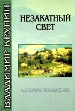 Крупин Владимир Люби меня, как я тебя обложка книги