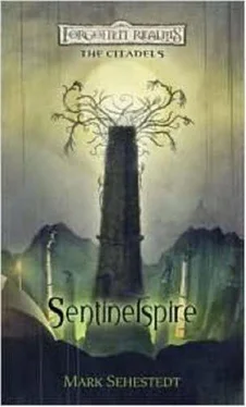 Mark Sehestedt Sentinelspire обложка книги