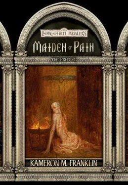 Kameron Franklin Maiden of Pain обложка книги