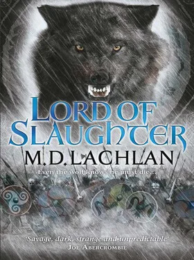 M. Lachlan Lord of Slaughter обложка книги
