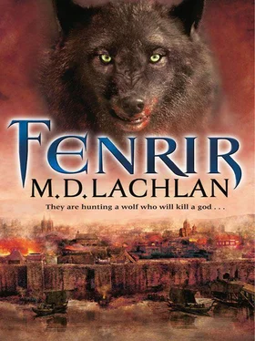 M. Lachlan Fenrir обложка книги