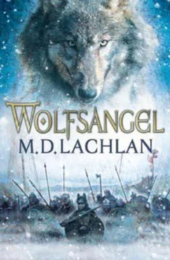 M. Lachlan Wolfsangel обложка книги