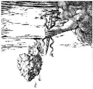 In seventeenthcentury Catholicism esoteric teachings rose very near the - фото 138