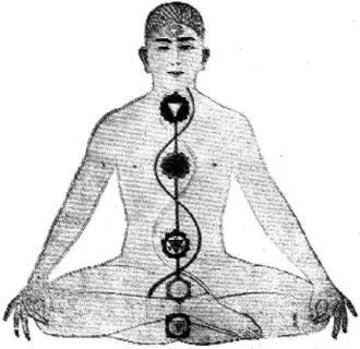 0 Hindu illustration of the seven major chakras and for comparison - фото 22