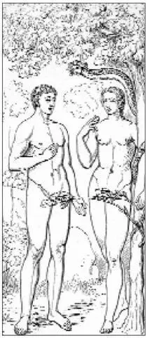 Adam Eve and the serpent by Masaccio Renaissance engraving of the tree in - фото 30