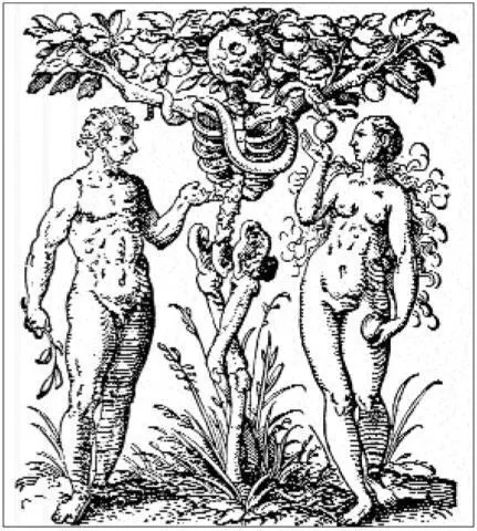 Renaissance engraving of the tree in the Garden of Eden as a skeleton after - фото 31