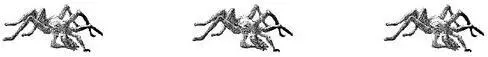 IN THE SECRET HISTORY THE LAST CREATURES to incarnate before humans were the - фото 47