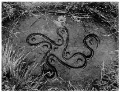 To the ancients all life was involved in a pulse rhythm or breath They saw - фото 66