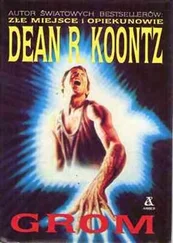 Dean Koontz - Grom