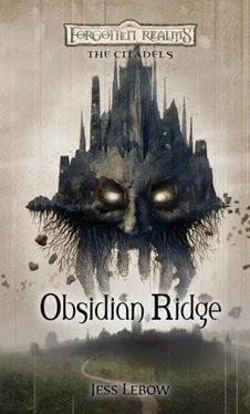 Jess Lebow Obsidian Ridge обложка книги